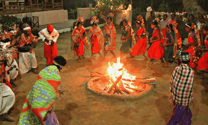 Authentic Baiga Tribal Dance Experience in Kanha