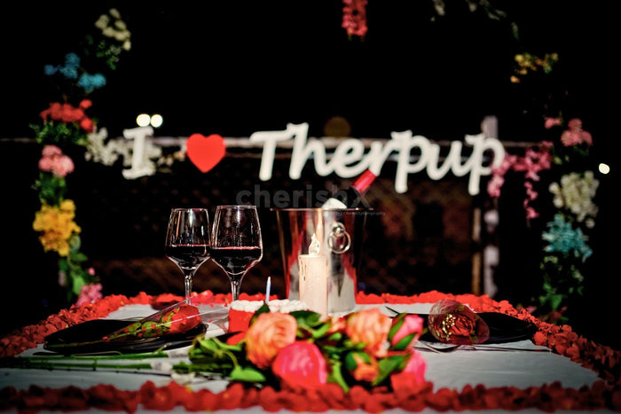 Date & Dine With Dogs