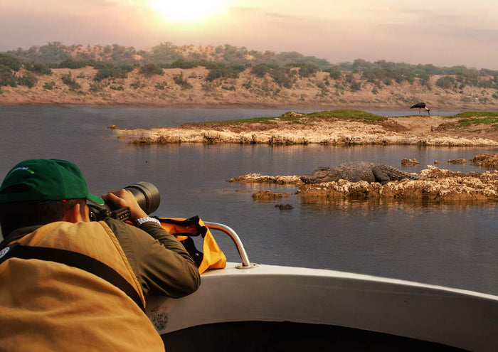 Chambal Safari Adventure for One