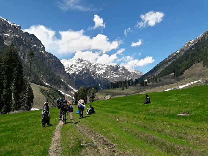 Shepard’s Trail Hike in Himachal