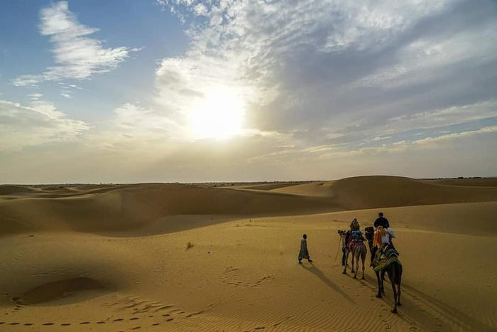Desert Adventure Gift Box: Thrilling & Scenic Experiences Across Rajasthan’s Golden Sands