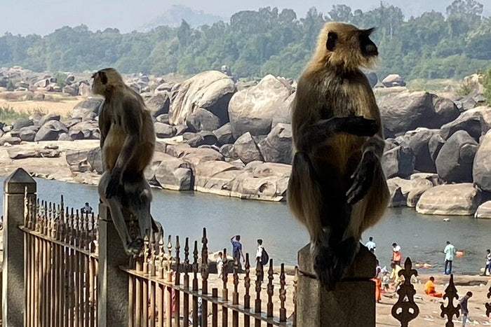 Unforgettable Hire a Licensed Guide for Fullday Hampi visit with own transport