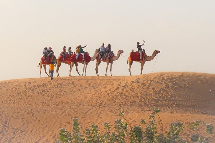 Camel Safari at Osian from Jodhpur