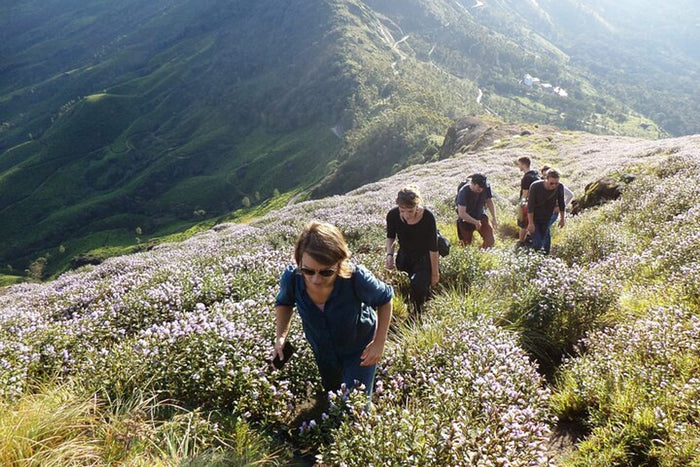 Soft Trek at Munnar