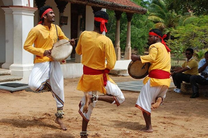 Immersive Indian Dance, Music, Classes, and Shows