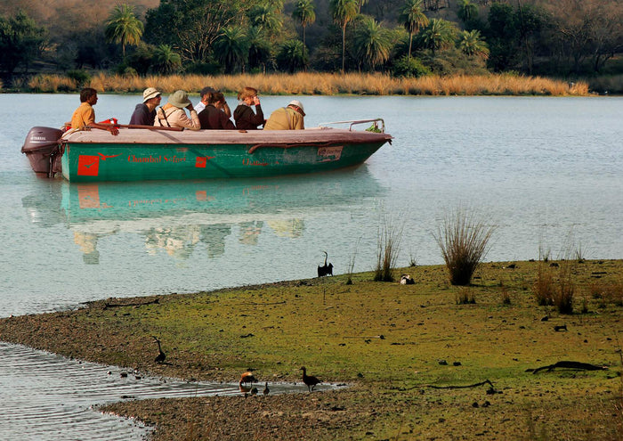 Chambal Safari Adventure for One