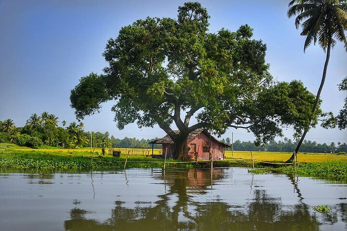 Premium Relax In a Backwaters - A Two-night Excursion From Cochin With Private Transfers