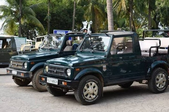 Immersive Private Lion Safari in the Gir National Park in Gujarat