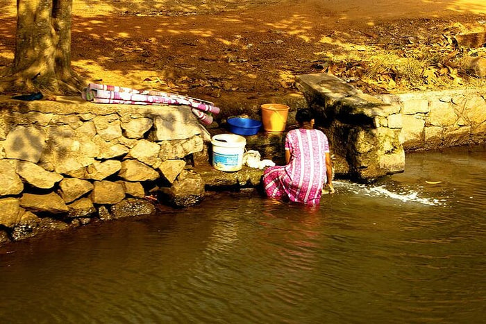 Premium Relax In a Backwaters - A Two-night Excursion From Cochin With Private Transfers