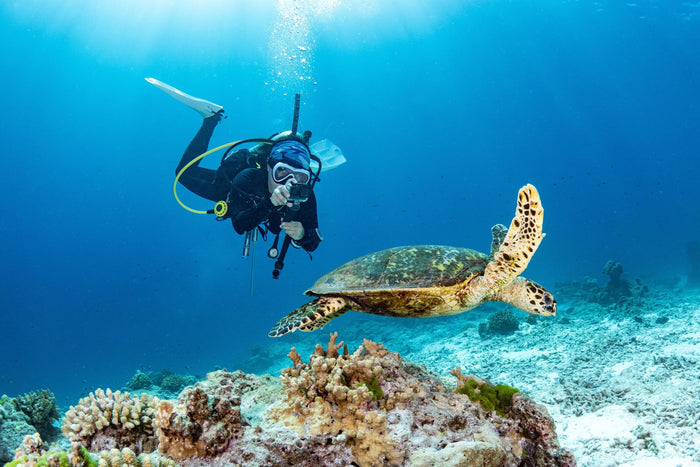 Scuba Diving in Pondicherry with Free Videography