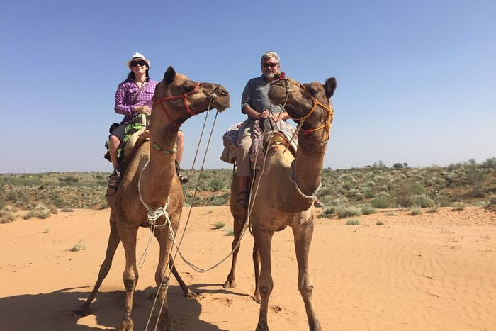 Authentic Camel Safari Experience With Us