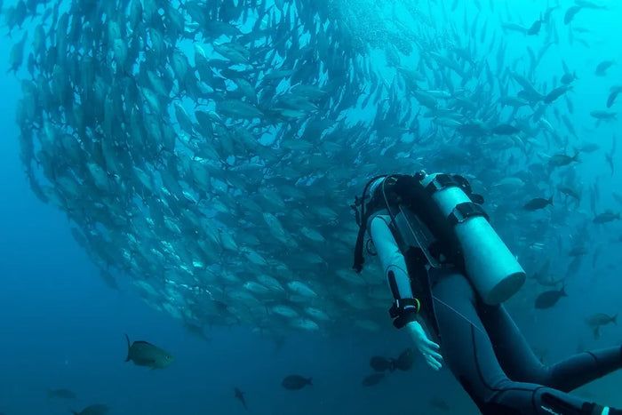 Scuba Diving In Gokarna