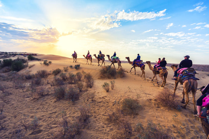 Camel Safari Tour near Bikaner