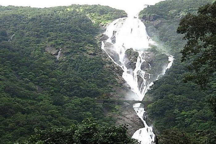 Curated Private Adventures in the Jungle near Goa
