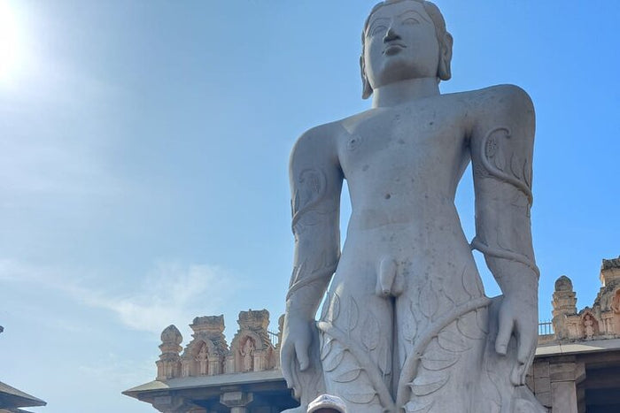 Unforgettable Serenity and Safari: A Journey Through Karnataka's Treasures