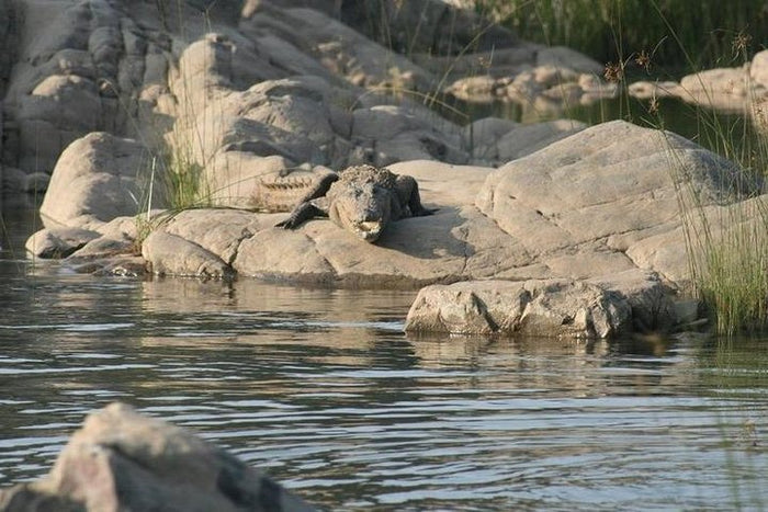 Premium Private 5-Hour Safari from Khajuraho to Raneh Falls Canyon