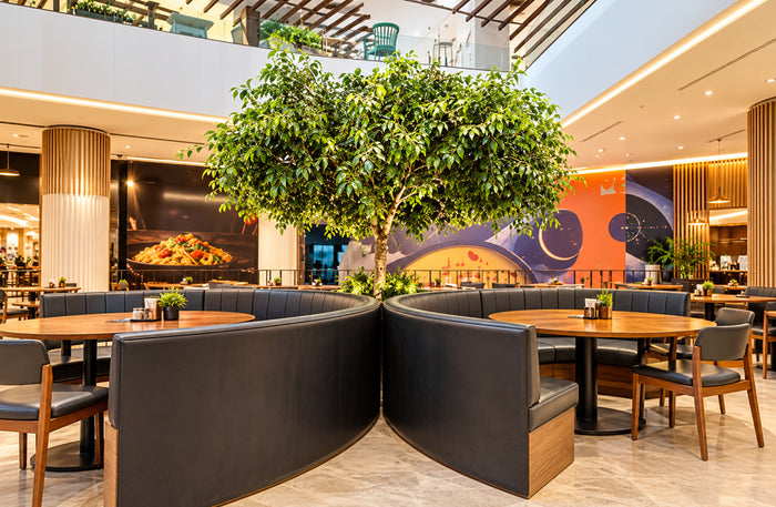 CHA Hong Kong Eating House - Premium Cantonese Dining Experience for Two at 5 Locations Across India