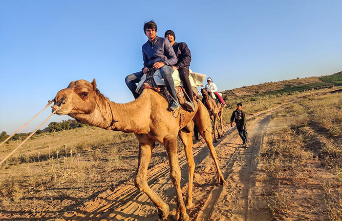 Thrilling Camel Safari in Osian