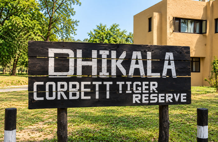 Captivating 16-Seater Shared Canter Safari in Dhikala Zone of Jim Corbett National Park