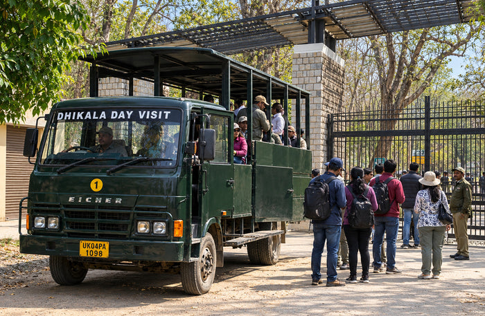 Captivating 16-Seater Shared Canter Safari in Dhikala Zone of Jim Corbett National Park