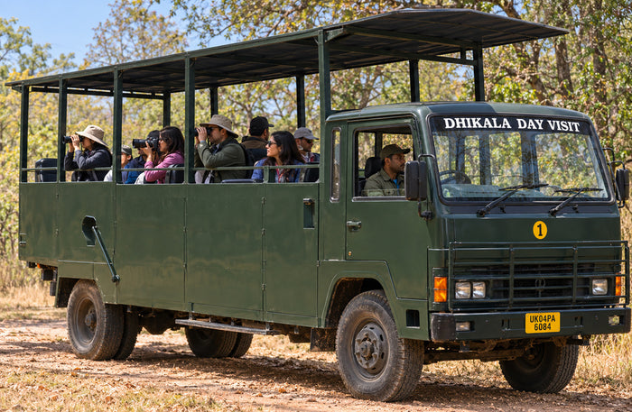 Captivating 16-Seater Shared Canter Safari in Dhikala Zone of Jim Corbett National Park