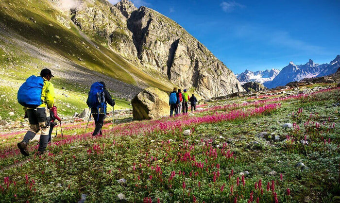 Guided Hike to Ghari Wali Mata Temple, Himachal