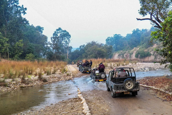 Thrilling Jeep Safari in Jim Corbett National Park from Ramnagar
