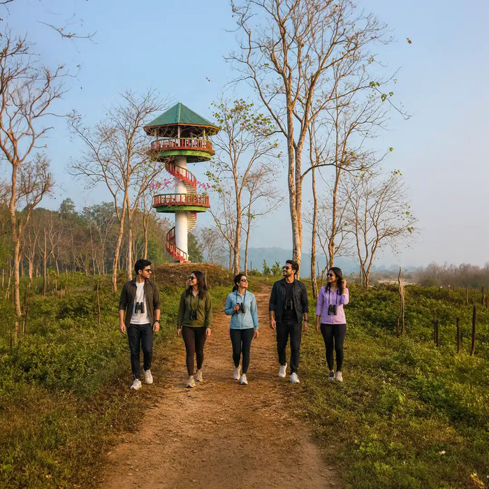 Jungle Watch Tower Safari Experience for One in Gorumara National Park, Jalpaiguri