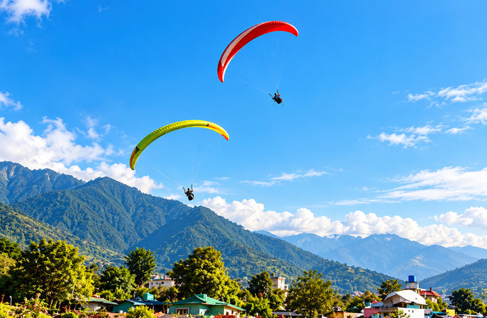 Scenic 20-Minute Tandem Paragliding Adventure Over Bir Billing and the Himalayas