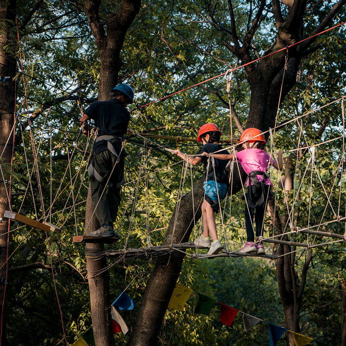 Palampur Adventure and Heritage Experience with Tea Garden Tour