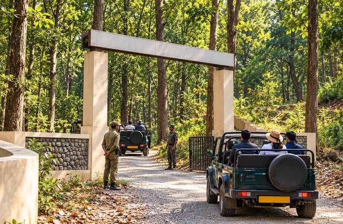 Thrilling Private Jeep Safari in the Jim Corbett Surrounding Forests for Up to 6 People