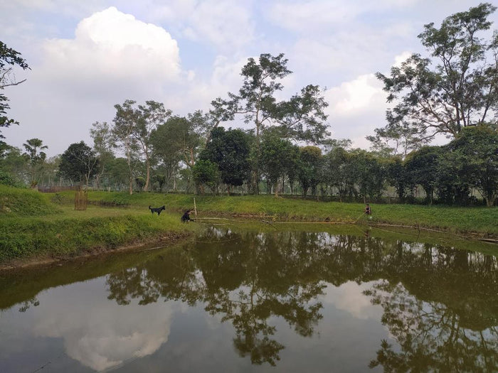 Tranquil Angling Experience at The Riverwood Forest Retreat, Dooars