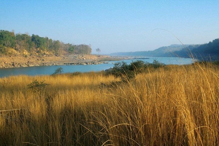 Premium Private 5-Hour Safari from Khajuraho to Raneh Falls Canyon