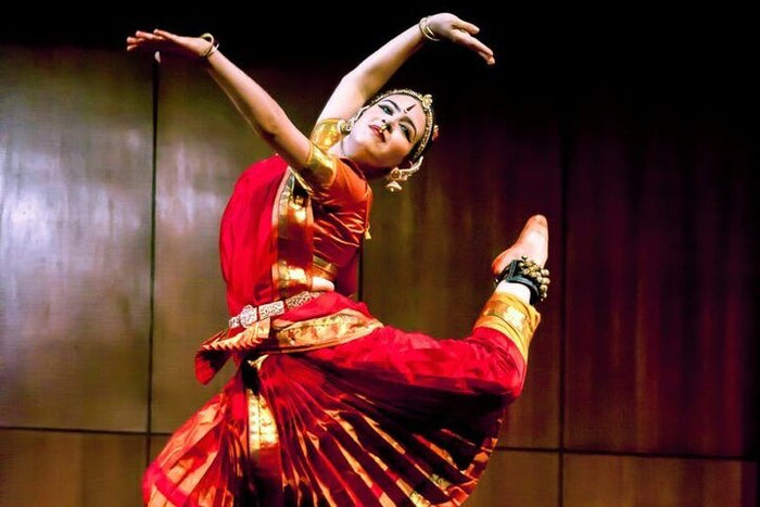 Immersive Indian Dance, Music, Classes, and Shows