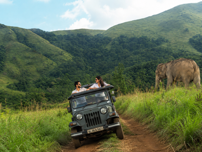 Thrilling Vagamon Full-Day Jeep Safari from Thekkady