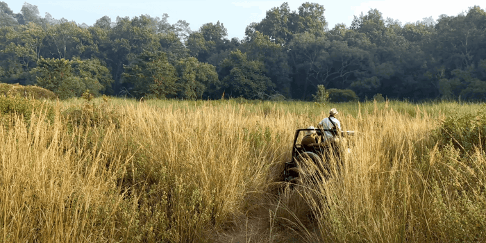 Thrilling Jeep Safari in Jim Corbett National Park from Ramnagar