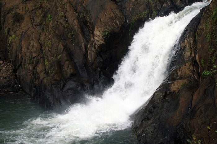 Curated Private Adventures in the Jungle near Goa