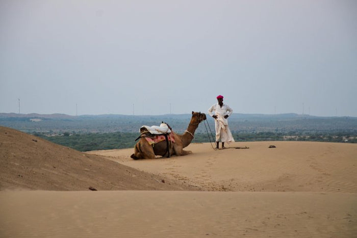 Desert Adventure Gift Box: Thrilling & Scenic Experiences Across Rajasthan’s Golden Sands