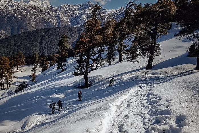 Climbing up Chandrashilla peak