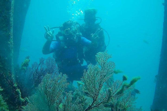 Signature Scuba Diving For Non Swimmers at Havelock Island