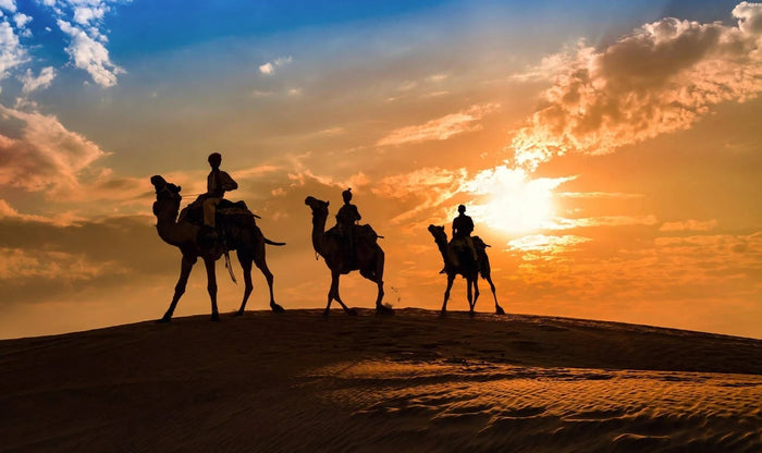 Thrilling Overnight Camel Safari and Stargazing Experience in Jaisalmer