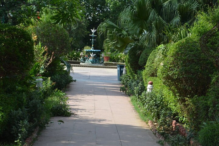 Visit to Sahelion Ki Bari, Garden of the Maidens, Udaipur