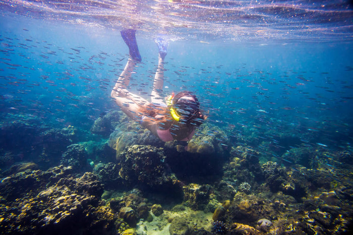 Thrilling Guided Snorkelling Experience in Kovalam