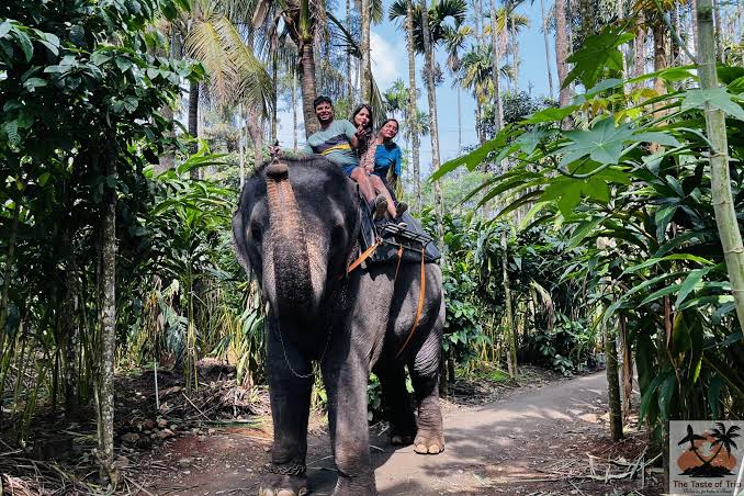Thrilling Thekkady Scenic Jeep Sightseeing Tour by Periyar Adventures Safari