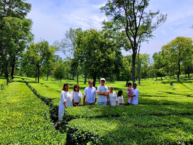 Palampur Adventure and Heritage Experience with Tea Garden Tour