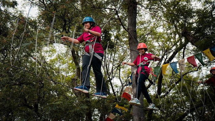 Palampur Adventure and Heritage Experience with Tea Garden Tour