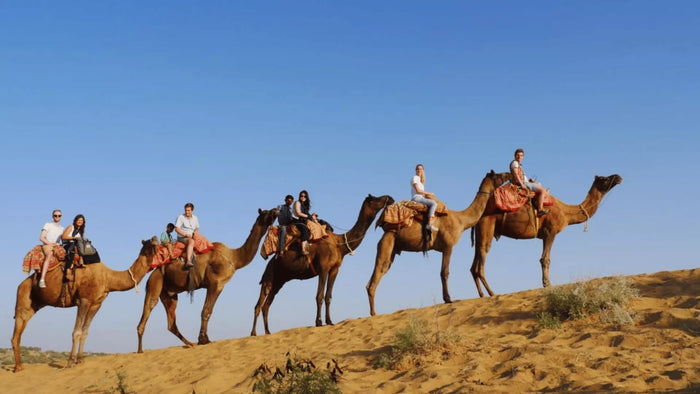 Thrilling Camel Safari in Osian