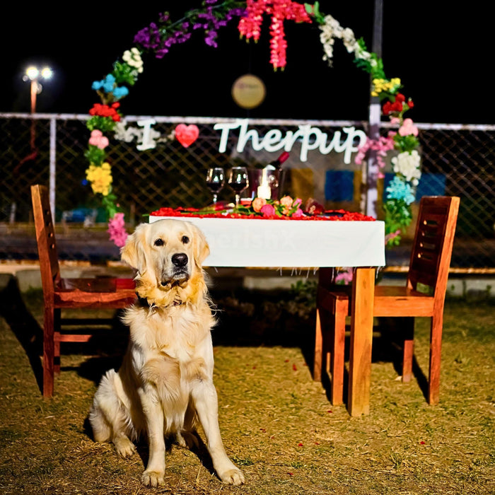 Date & Dine With Dogs