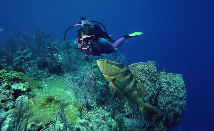 Scuba Diving In Gokarna