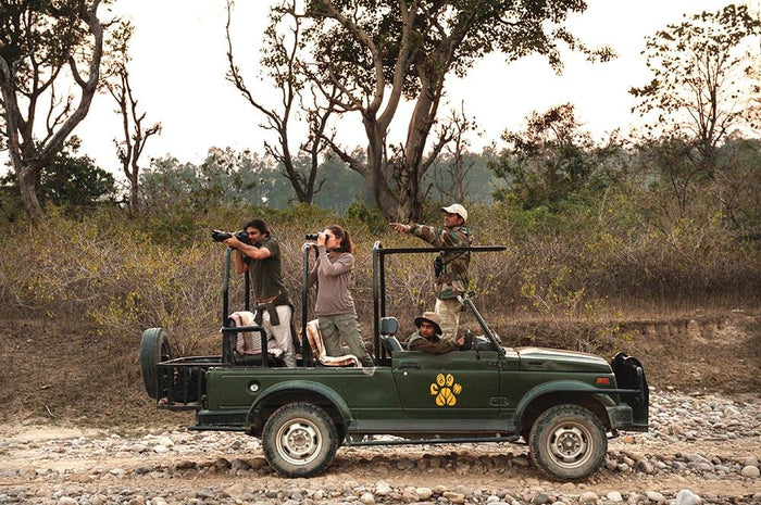 Evening Leopard Safari Experience in Jawai Leopard Conservation Area for One